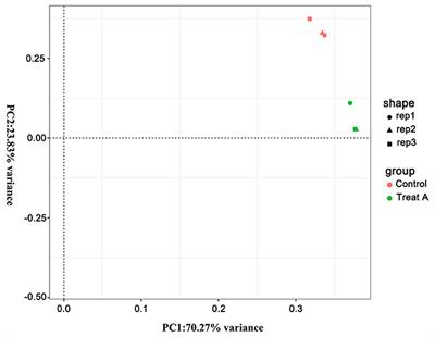 Transcriptome Analysis Reveals the Anti-cancerous Mechanism of Licochalcone A on Human Hepatoma Cell HepG2